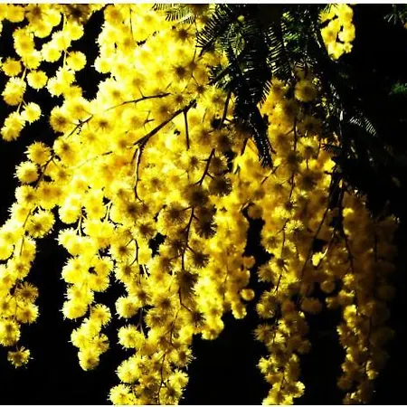 Lou Pantaï Villeneuve-Loubet